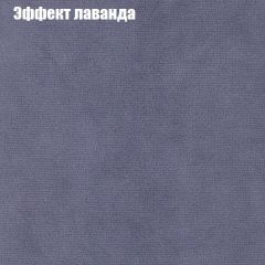 Диван Феникс 1 (ткань до 300) в Тавде - tavda.mebel24.online | фото 64
