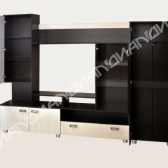 Гостиная Аллегро вариант-3 (Венге/Белфорт) в Тавде - tavda.mebel24.online | фото 2