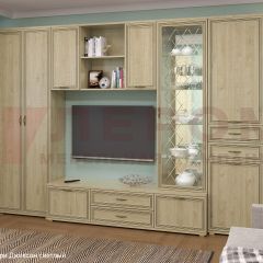 Гостиная Карина Композиция 21 (Гикори Джексон светлый) в Тавде - tavda.mebel24.online | фото 6