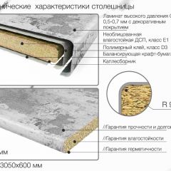 Кухонный фартук со столешницей (А-01) в едином стиле (3050 мм) в Тавде - tavda.mebel24.online | фото 6