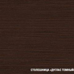 Кухонный гарнитур Полина стандарт 1600 в Тавде - tavda.mebel24.online | фото 12