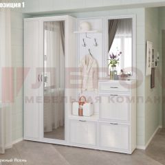 Прихожая Карина (модульная) в Тавде - tavda.mebel24.online | фото 3