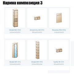 Прихожая Карина (модульная) в Тавде - tavda.mebel24.online | фото 8