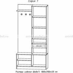 Прихожая София 1 в Тавде - tavda.mebel24.online | фото 3