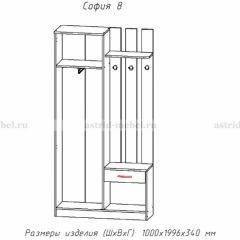 Прихожая София 8 в Тавде - tavda.mebel24.online | фото 2