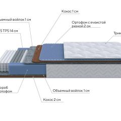 PROxSON Матрас Active Duo M/F (Ткань Трикотаж Эко) 120x200 в Тавде - tavda.mebel24.online | фото 6