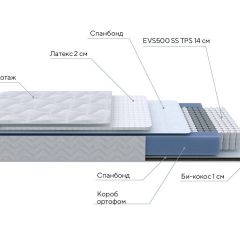 PROxSON Матрас Active Duo S/F (Ткань Трикотаж Эко) 120x190 в Тавде - tavda.mebel24.online | фото 7