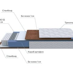 PROxSON Матрас Active F (Ткань Трикотаж Эко) 80x190 в Тавде - tavda.mebel24.online | фото 6