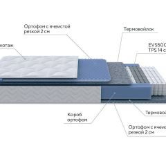 PROxSON Матрас Active M Roll (Ткань Трикотаж Эко) 120x190 в Тавде - tavda.mebel24.online | фото 7