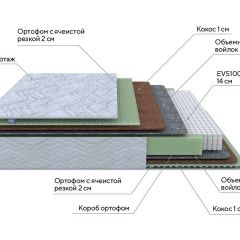 PROxSON Матрас Green M (Tricotage Dream) 120x190 в Тавде - tavda.mebel24.online | фото 7