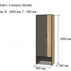 ОЛЬГА-ЛОФТ 3 Шкаф 2-х створчатый в Тавде - tavda.mebel24.online | фото 4