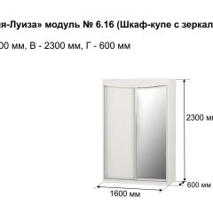 Шкаф-купе 1600 с зеркалом "Мария-Луиза 6.16" в Тавде - tavda.mebel24.online | фото 4