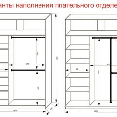 Шкаф-купе 1600 серии SOFT D6+D4+B2+PL2 (2 ящика+1штанга+1 полка) профиль «Капучино» в Тавде - tavda.mebel24.online | фото 9