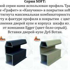 Шкаф-купе 1600 серии SOFT D8+D2+B2+PL4 (2 ящика+F обр.штанга) профиль «Графит» в Тавде - tavda.mebel24.online | фото 12