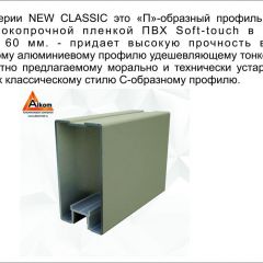 Шкаф-купе 1700 серии NEW CLASSIC K2+K2+B2+PL2(2 ящика+1 штанга+1 полка) профиль «Капучино» в Тавде - tavda.mebel24.online | фото 17