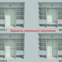 Шкаф-купе 1950 серии SILVER S3+S1+S3Z B22+PL2 (по 2 ящика лев/прав+1штанга+1 полка) профиль «Серебро» в Тавде - tavda.mebel24.online | фото 6