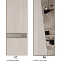 Шкаф-купе 2250 серии SILVER S5+S1+S5 B22+PL2 (по 2 ящика лев/прав+1 штанга+1 полка) профиль «Серебро» в Тавде - tavda.mebel24.online | фото 13