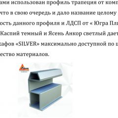 Шкаф-купе 2250 серии SILVER S5+S1+S5 B22+PL2 (по 2 ящика лев/прав+1 штанга+1 полка) профиль «Серебро» в Тавде - tavda.mebel24.online | фото 16