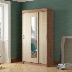 Шкаф-купе Эко (ЭРА) в Тавде - tavda.mebel24.online | фото 2