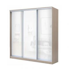 Шкаф-купе ХИТ 22-20-888 (620) в Тавде - tavda.mebel24.online | фото 7