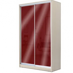Шкаф-купе ХИТ 22-4-12/2-22 (420) в Тавде - tavda.mebel24.online | фото 9