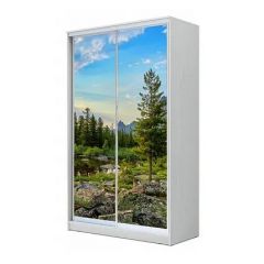 Шкаф-купе ХИТ 23-12-77 (620) в Тавде - tavda.mebel24.online | фото