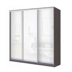 Шкаф-купе ХИТ 23-18-888 (620) в Тавде - tavda.mebel24.online | фото