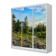 Шкаф-купе ХИТ 24-4-18-777 (420) в Тавде - tavda.mebel24.online | фото