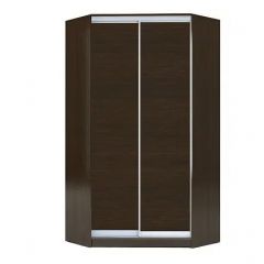 Шкаф-купе ХИТ-У-L-22-64-11 в Тавде - tavda.mebel24.online | фото 2