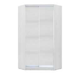 Шкаф-купе ХИТ-У-L-24-64-11 в Тавде - tavda.mebel24.online | фото