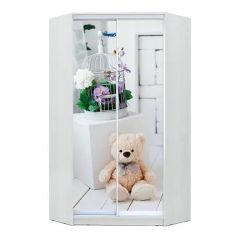 Шкаф-купе ХИТ-У-L-24-64-77 в Тавде - tavda.mebel24.online | фото