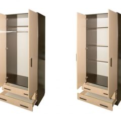 Шкаф распашной ПШ-3.8 в Тавде - tavda.mebel24.online | фото 2