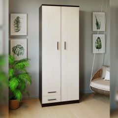 Шкаф распашной ПШ-3.9 в Тавде - tavda.mebel24.online | фото 3