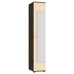 Шкаф с зеркалом "Алиса (H2_M)" ручка скоба в Тавде - tavda.mebel24.online | фото 9