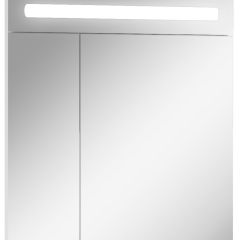 Шкаф-зеркало Аврора 65 с подсветкой LED Домино (DV8006HZ) в Тавде - tavda.mebel24.online | фото