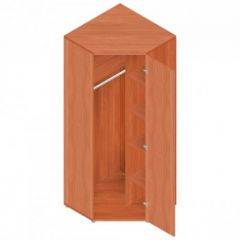 Шкаф для одежды "Референт" Р.Ш-10 в Тавде - tavda.mebel24.online | фото