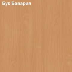 Стол приставной выкатной Логика Л-6.11 (Тумба мобильная) в Тавде - tavda.mebel24.online | фото 2