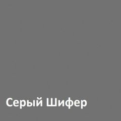 Юнона Шкаф торцевой 13.221 в Тавде - tavda.mebel24.online | фото 2
