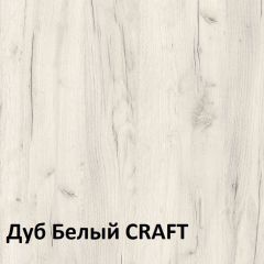 Юнона Шкаф торцевой 13.221 в Тавде - tavda.mebel24.online | фото 3