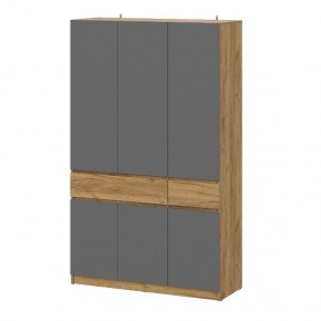 АВИНЬОН Прихожая Шкаф 3-х створчатый с ящиками в Тавде - tavda.mebel24.online | фото