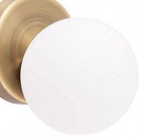 Бра Arte Lamp Bolla-piccolo A3989AP-1AB в Тавде - tavda.mebel24.online | фото