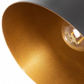 Бра Arte Lamp Thomas A7032AP-1BK в Тавде - tavda.mebel24.online | фото 10