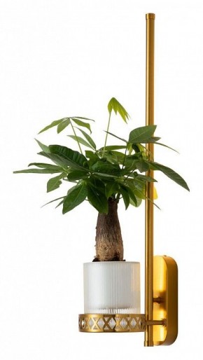 Бра Favourite Greenery 4050-1W в Тавде - tavda.mebel24.online | фото 3