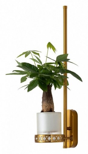 Бра Favourite Greenery 4050-1W в Тавде - tavda.mebel24.online | фото 4