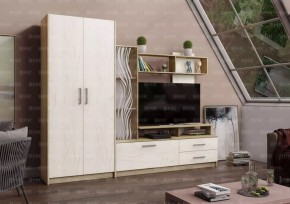ДАРЬЯ Гостиная (Крафт серый/Крафт белый) модульная в Тавде - tavda.mebel24.online | фото