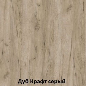 ДАРЬЯ Гостиная (Крафт серый/Крафт белый) модульная в Тавде - tavda.mebel24.online | фото 2