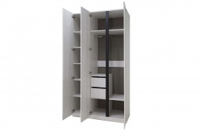 ДЕЛИ 3 Шкаф 3-х створчатый в Тавде - tavda.mebel24.online | фото 6