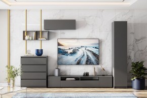 ДЕНВЕР Тумба для ТВА (Графит серый) в Тавде - tavda.mebel24.online | фото 4