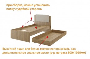 Дуглас (подростковая) М14 Кровать в Тавде - tavda.mebel24.online | фото 5