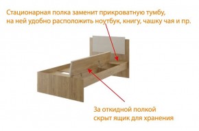 Дуглас (подростковая) М14 Кровать в Тавде - tavda.mebel24.online | фото 6